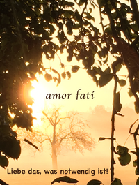 amor fati: Liebe das, was notwendig ist! Foto: © Sylvia Koch
