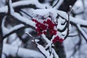 2016 11 10 Kirkenes; Foto c/o Sylvia Koch