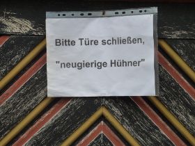 Neugierige Hühner; c/o Sylvia Koch